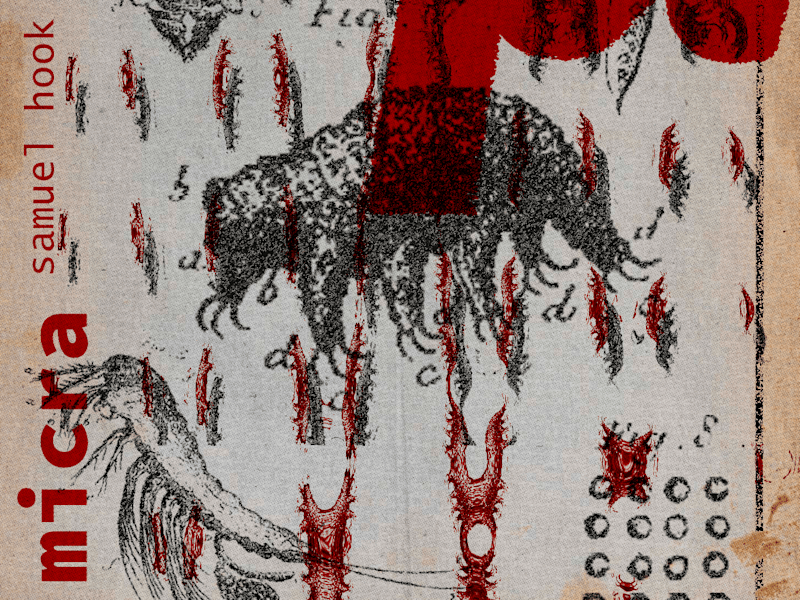 Cover image for Micra - Book Cover