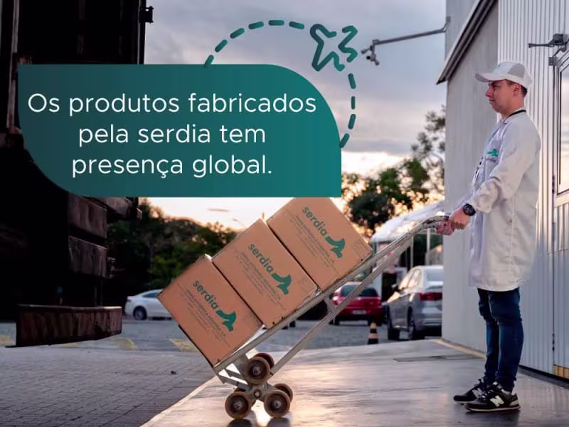 Cover image for WebSite  Company