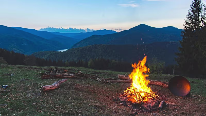 Cover image for Master These 5 Essential Outdoor Survival Skills