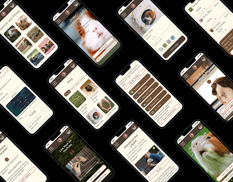 Cover image for Los Angeles Guinea Pig Rescue Website Redesign on Behance