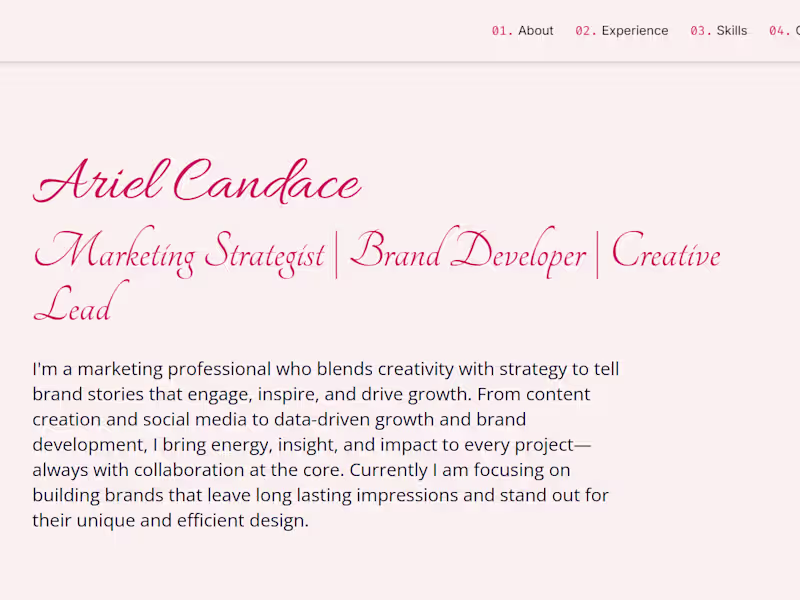 Cover image for Portfolios that turns dreams to payment