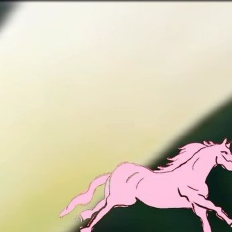 Cover image for Horse running