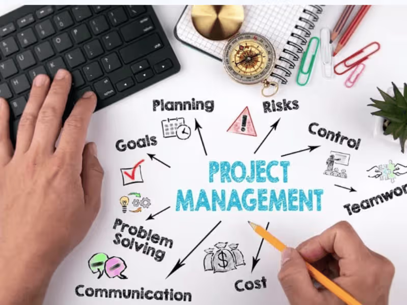 Cover image for Software Project Management