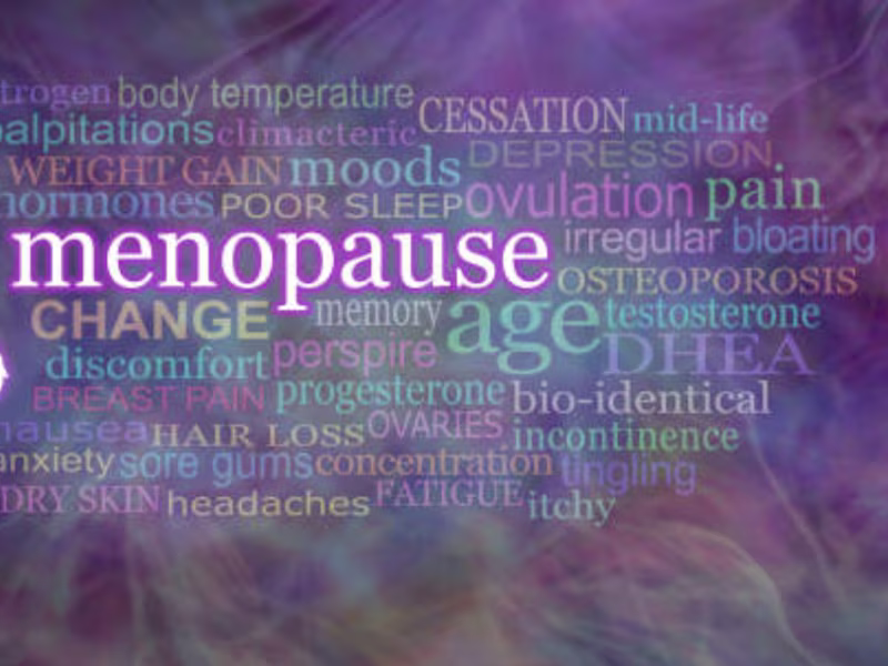 Cover image for Best Menopause Supplements for Weight Loss: Top 5 Supplements