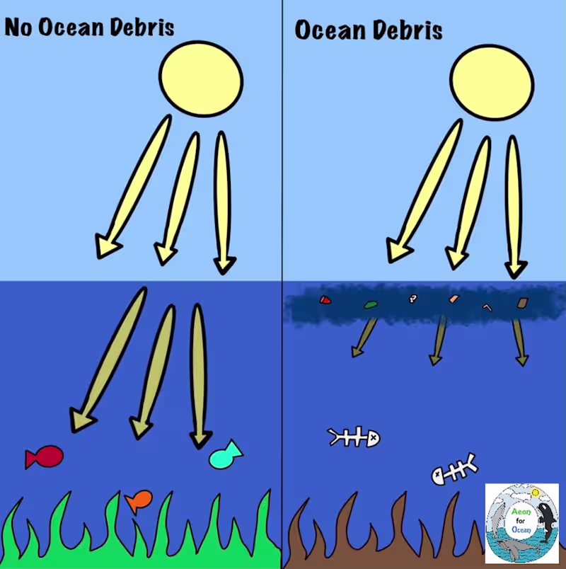 Cover image for Ocean Debris Infographic