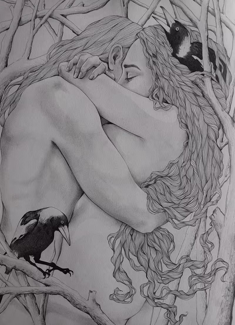 Cover image for Magpies