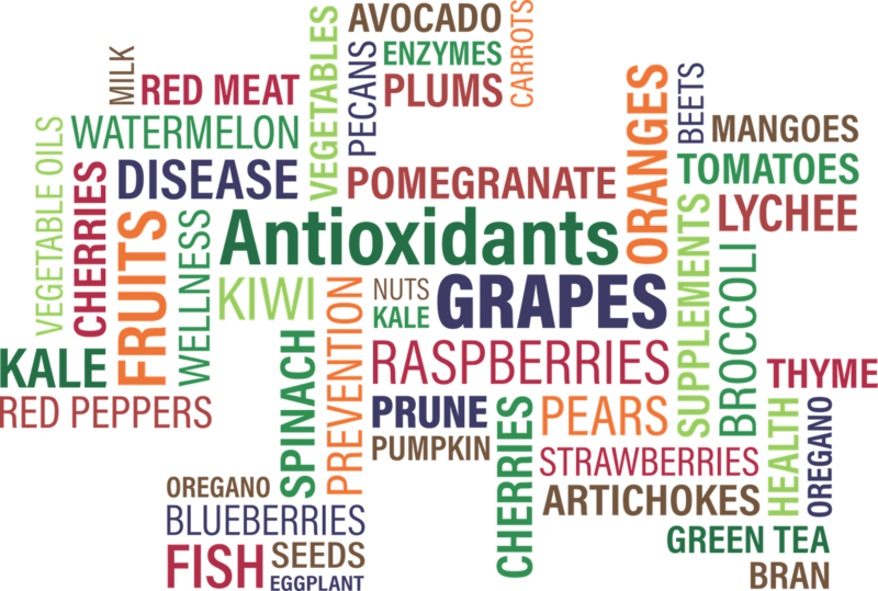 Cover image for write all food science and human nutrition assignments