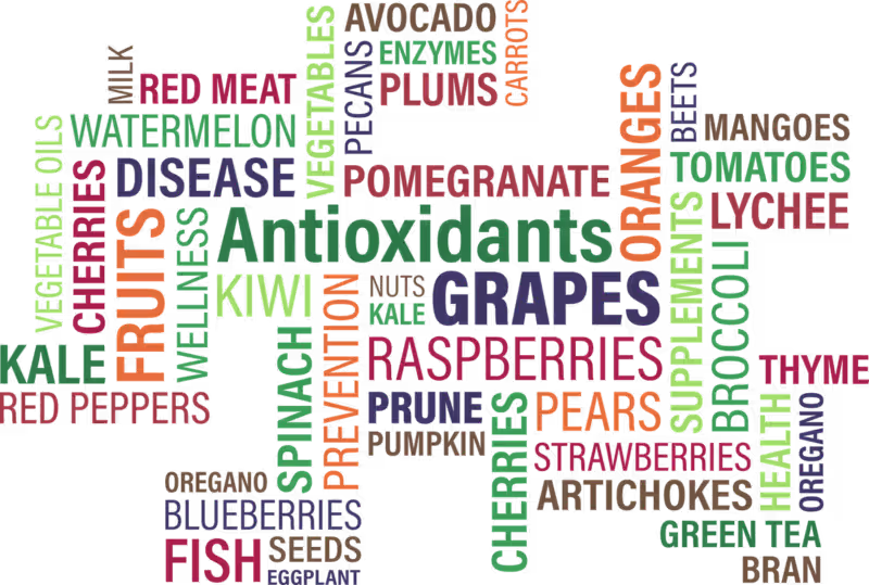 Cover image for write all food science and human nutrition assignments