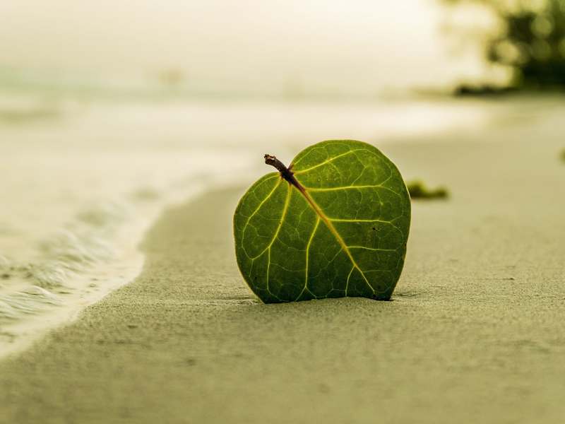 Cover image for Unique Blog Post Content Writer