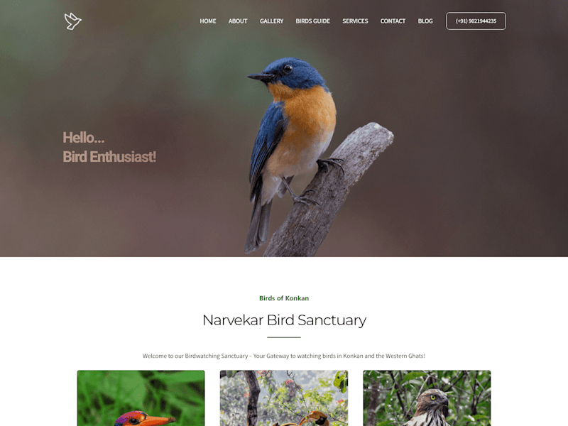 Cover image for Bird Sanctuary Website
