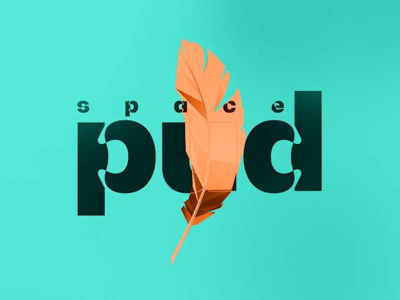 Cover image for Spacepud