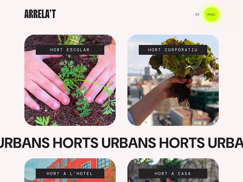 Cover image for Design and development of your unique website 💎