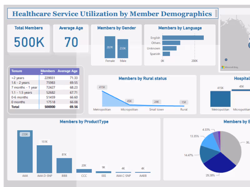 Cover image for Healthcare Service Utilization by Member Demographics