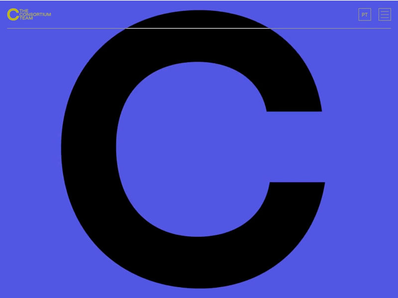 Cover image for The Consortium Team