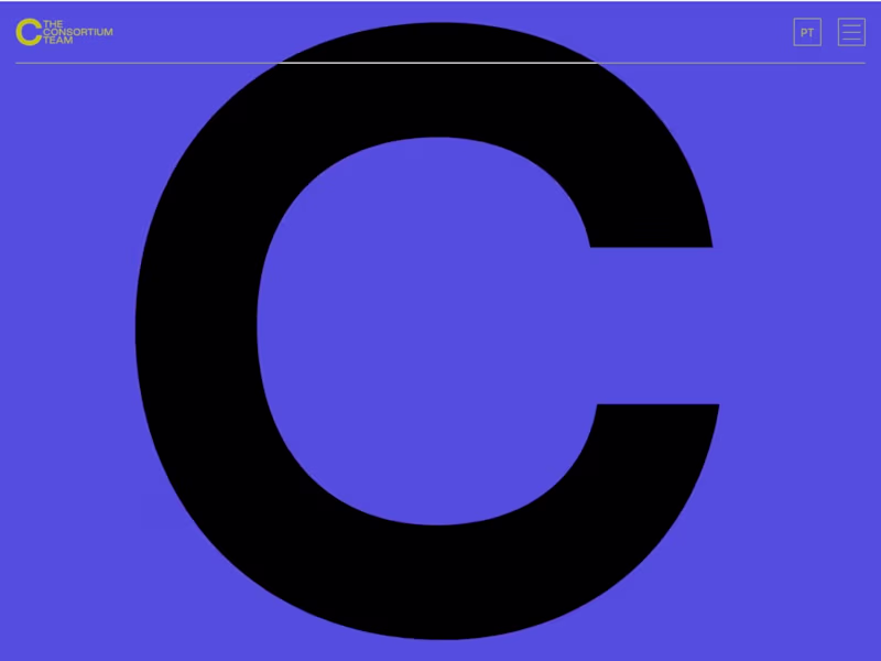 Cover image for The Consortium Team