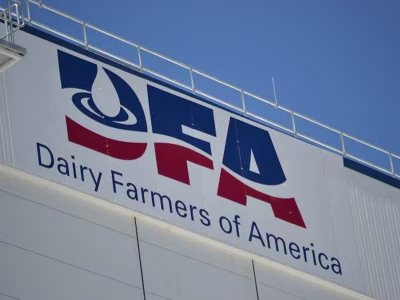 Cover image for Dairy Farmers of America 