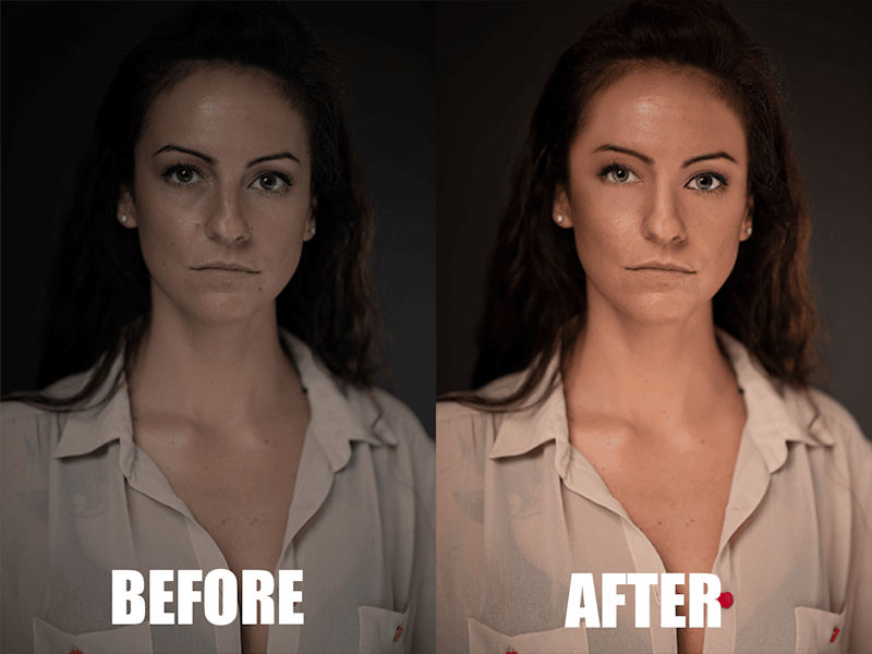 Cover image for PORTRAIT DEVELOPMENT