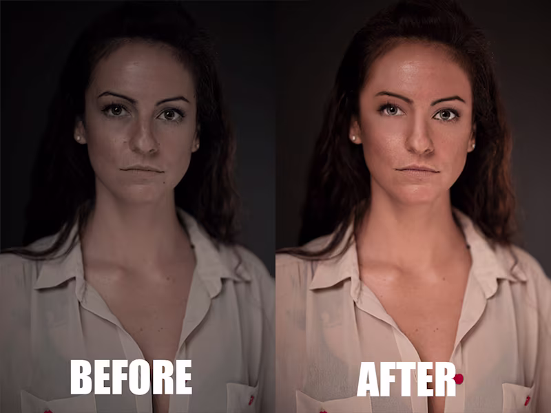 Cover image for PORTRAIT DEVELOPMENT