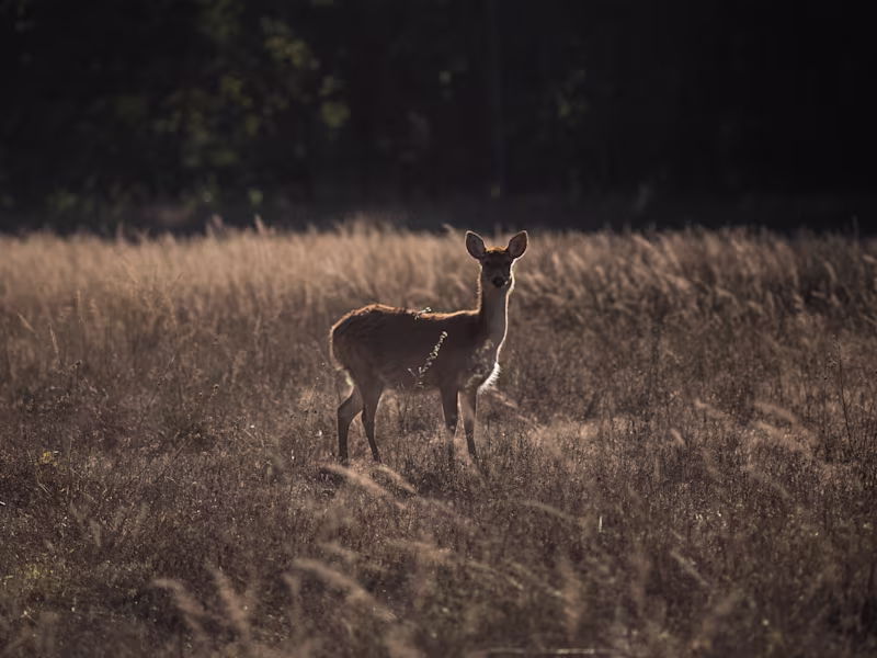 Cover image for Social Media Advert : Travel Brand
