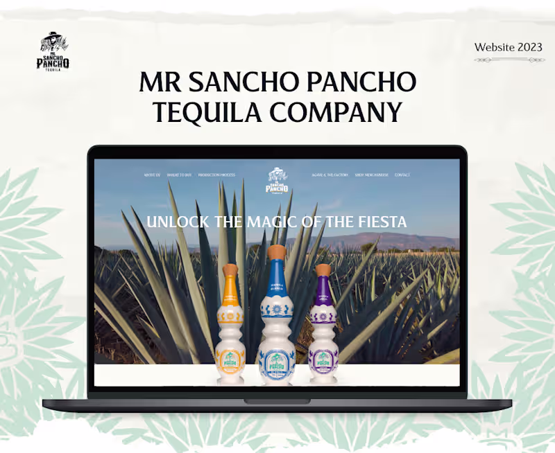 Cover image for MR Sancho Pancho Website Development