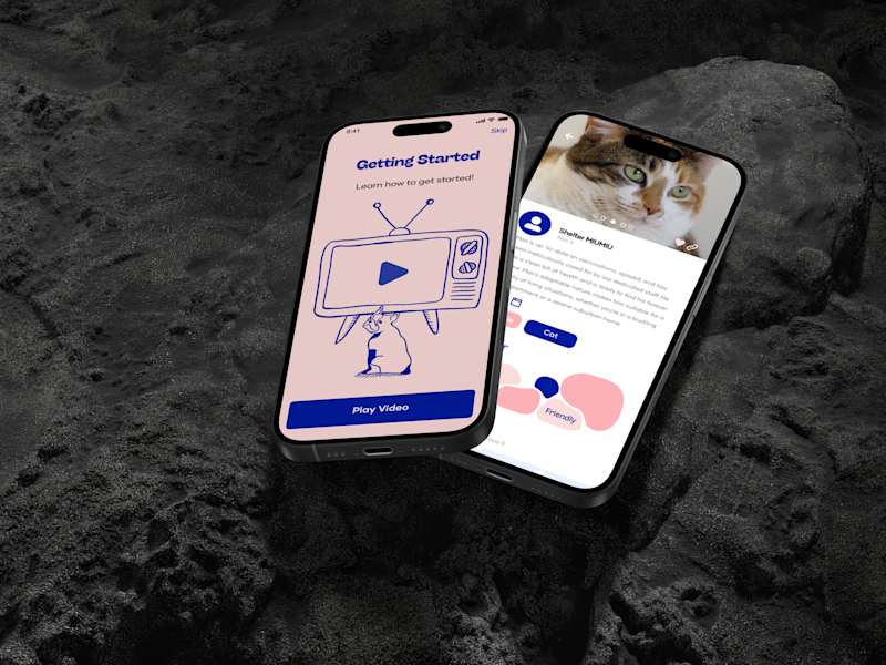 Cover image for Petron Mobile App Development