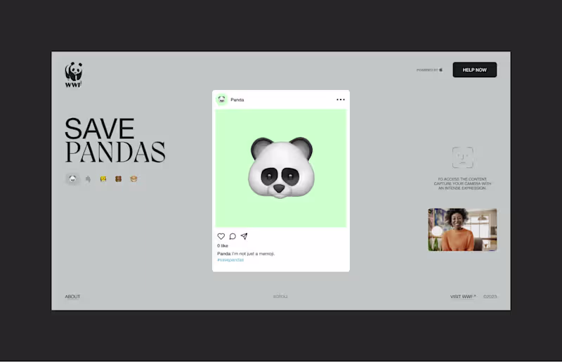 Cover image for WWF Web campaign concept