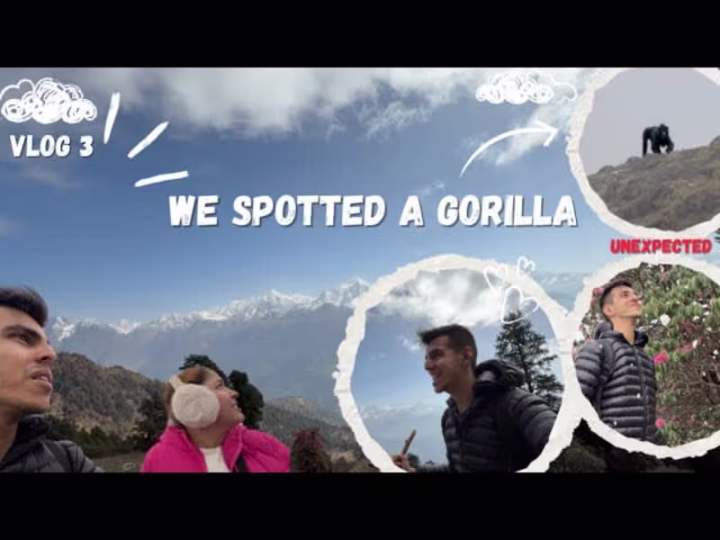 Cover image for ronak vlog - YouTube