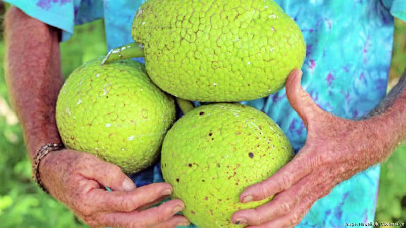 Cover image for Federal Funding Cuts Impact Hawaii's Research