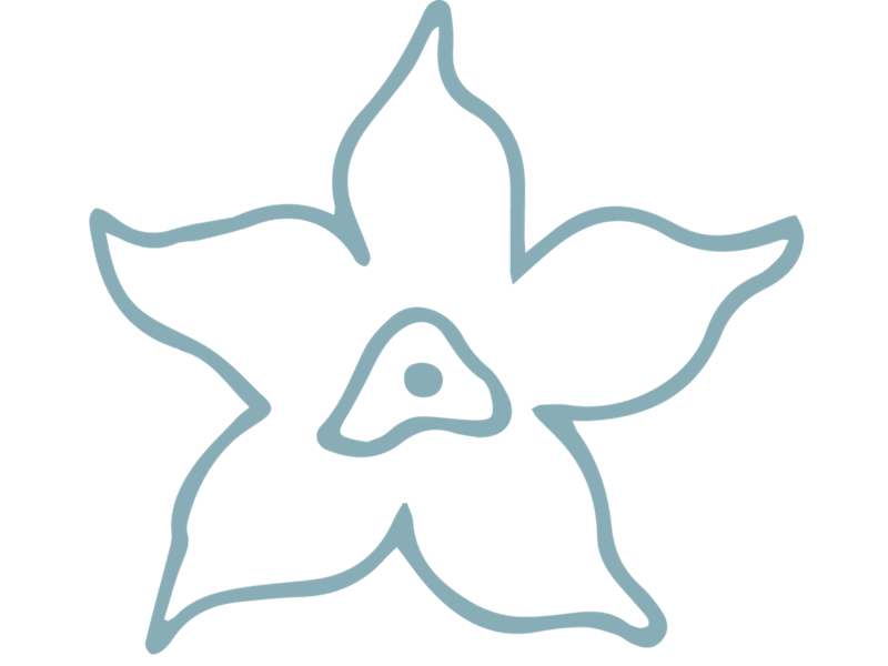 Cover image for KannaLab