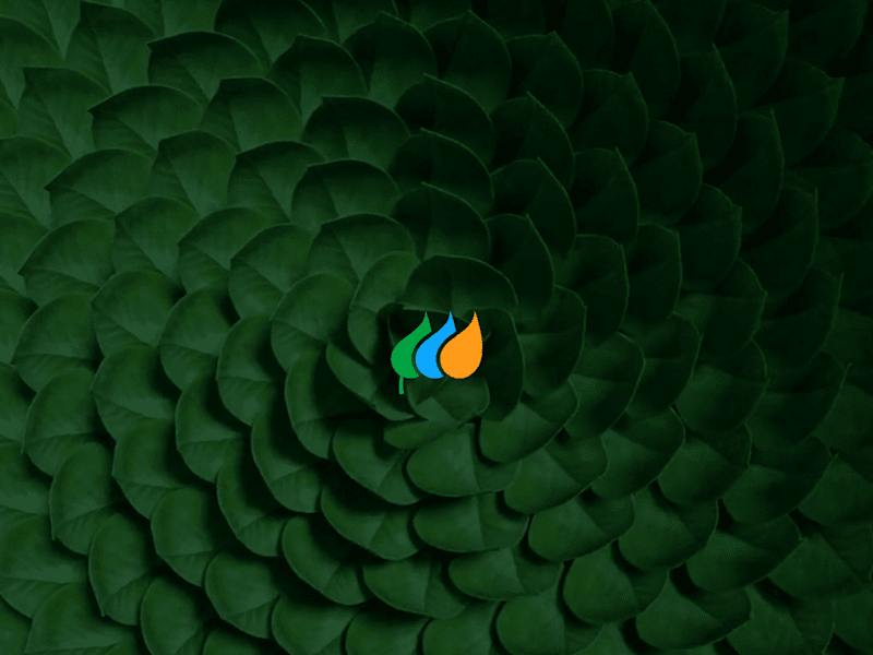 Cover image for Iberdrola