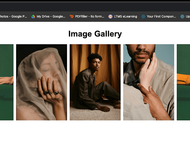 Cover image for Image Gallery Scraper