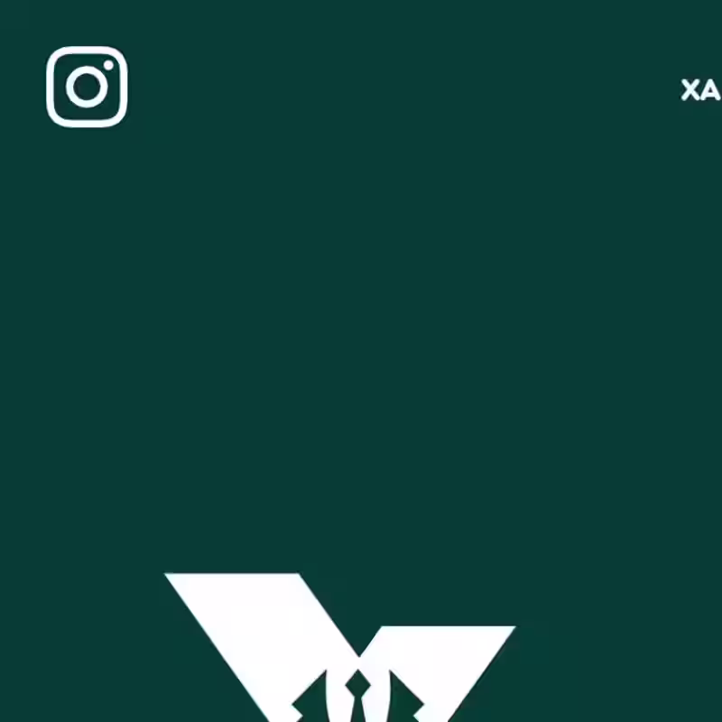 Cover image for Xander Xavier - Brand Identity