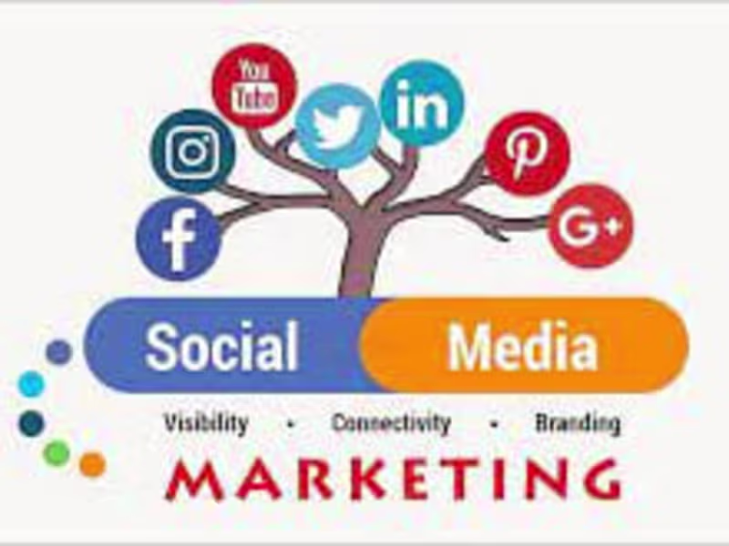 Cover image for we turn social platforms into a dynamic stage for your brand. 