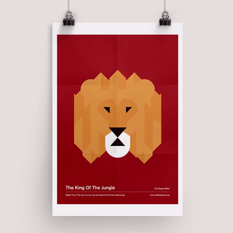 Cover image for The Shape Safari