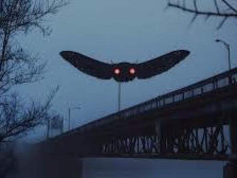Cover image for Mothman - The Theatrical Script