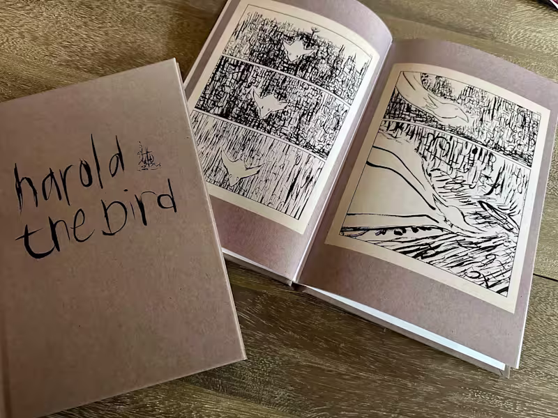 Cover image for Harold the Bird