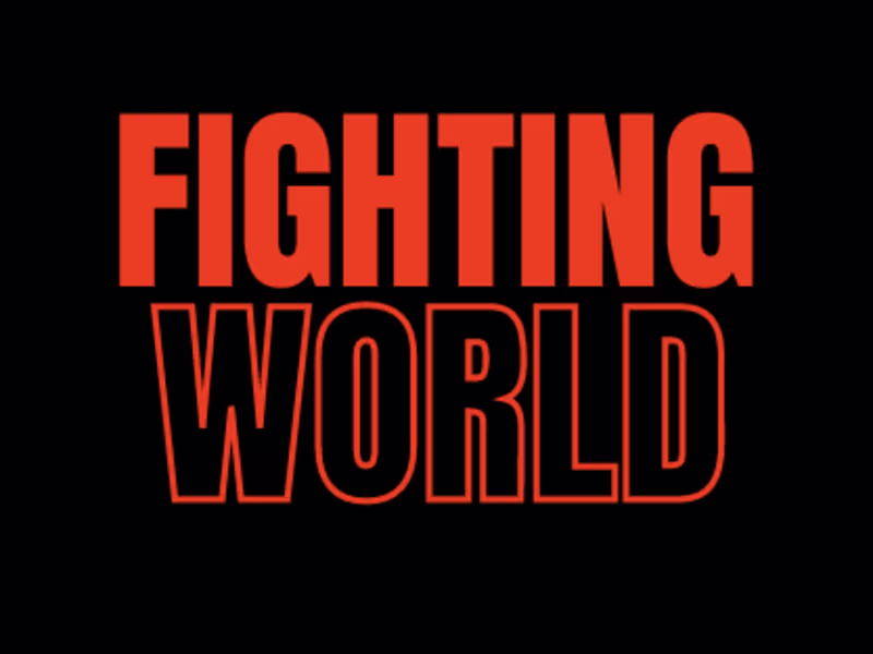 Cover image for Fighting World