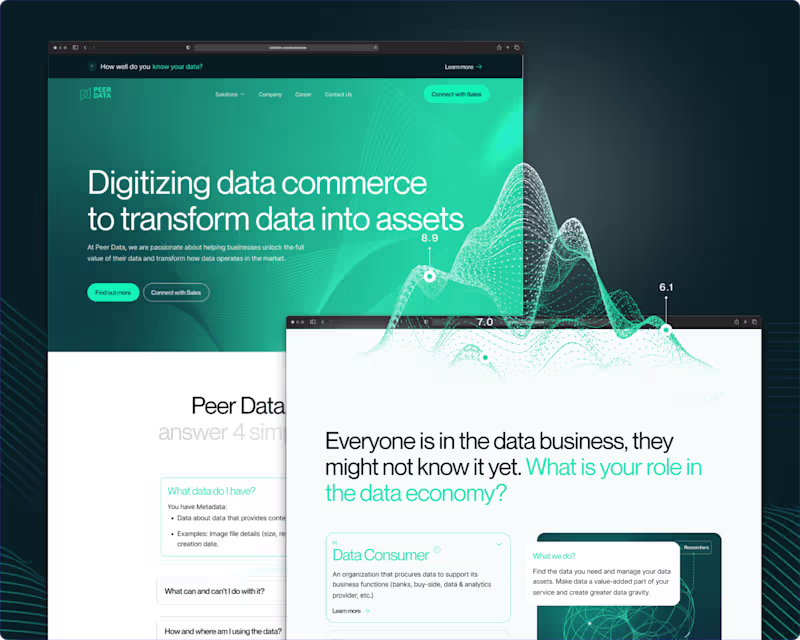 Cover image for PEERDATA: Where Digital Transformation Meets Business Innovation