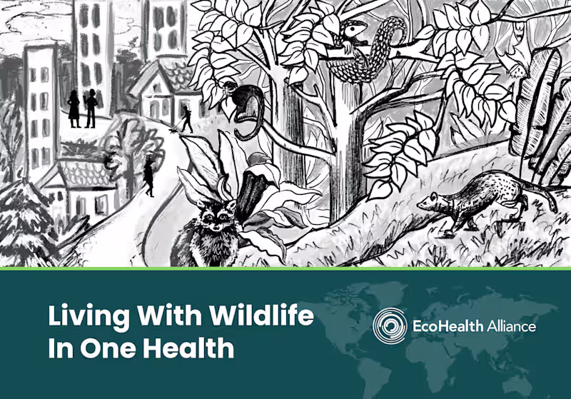 Cover image for Pitch Deck Design | Presentation Designs