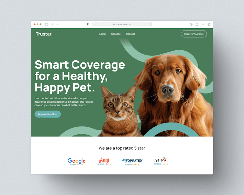 Cover image for Pet Insurance Website design