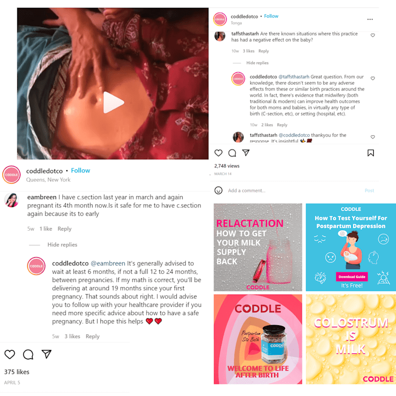 Cover image for Coddle - Social Media Manager
