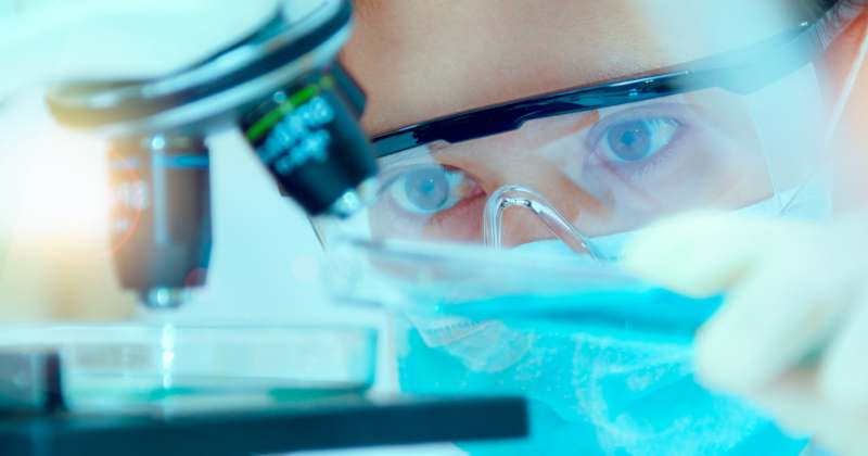 Cover image for Marketing Direction for Laxxon Medical