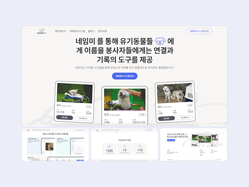 Cover image for NameMe | Design & Webflow Development