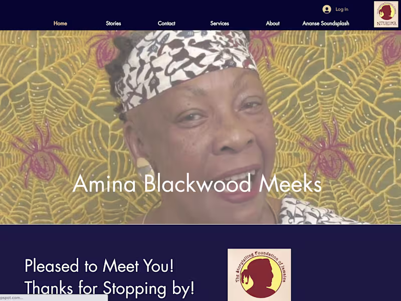 Cover image for Amina Blackwood Meeks