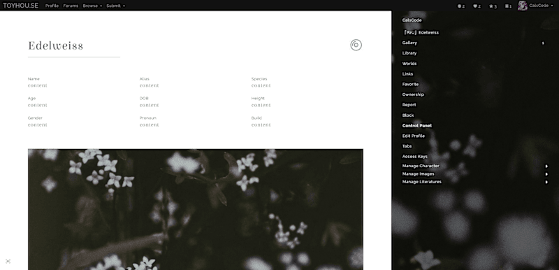 Cover image for Web Design