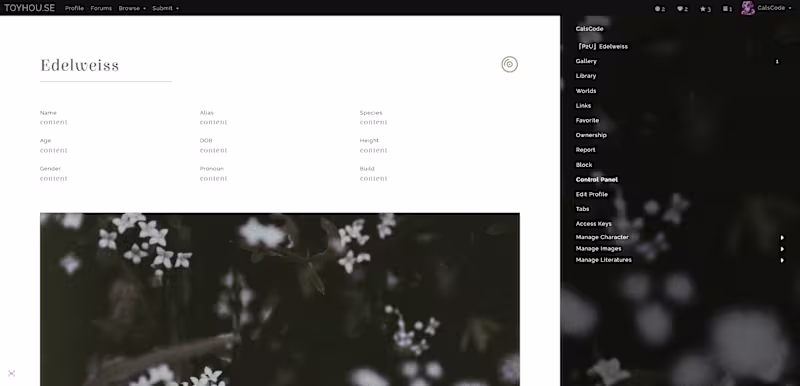 Cover image for Web Design