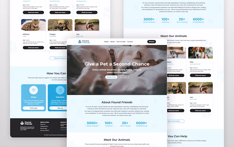 Cover image for Web Design for an Animal Shelter