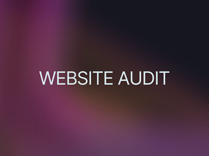 Cover image for Website Audit