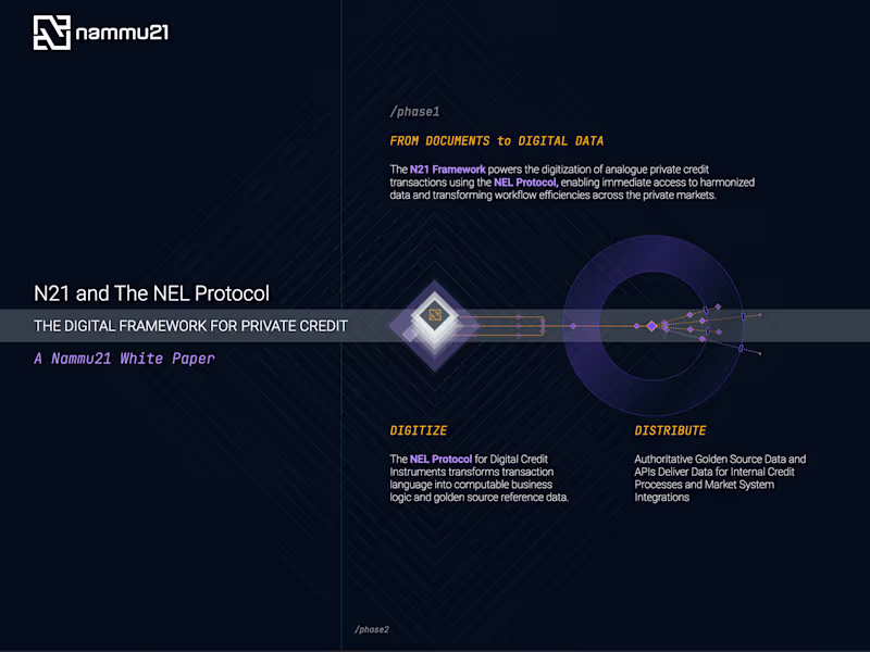 Cover image for End-to-End Webflow Development custom code and vector animation