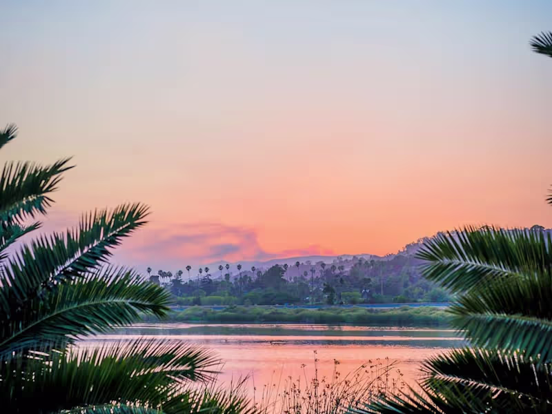 Cover image for  Elevate Your Business with Our Expert Data Analysts